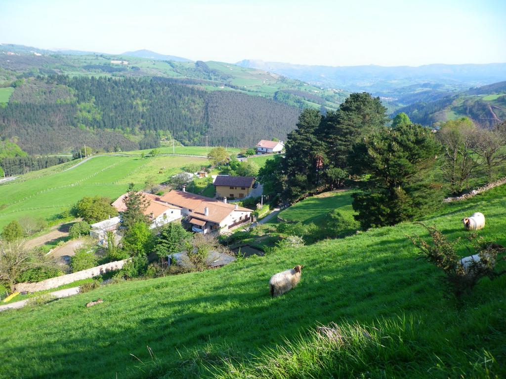 Gailurretan Hotel Carranza Bagian luar foto